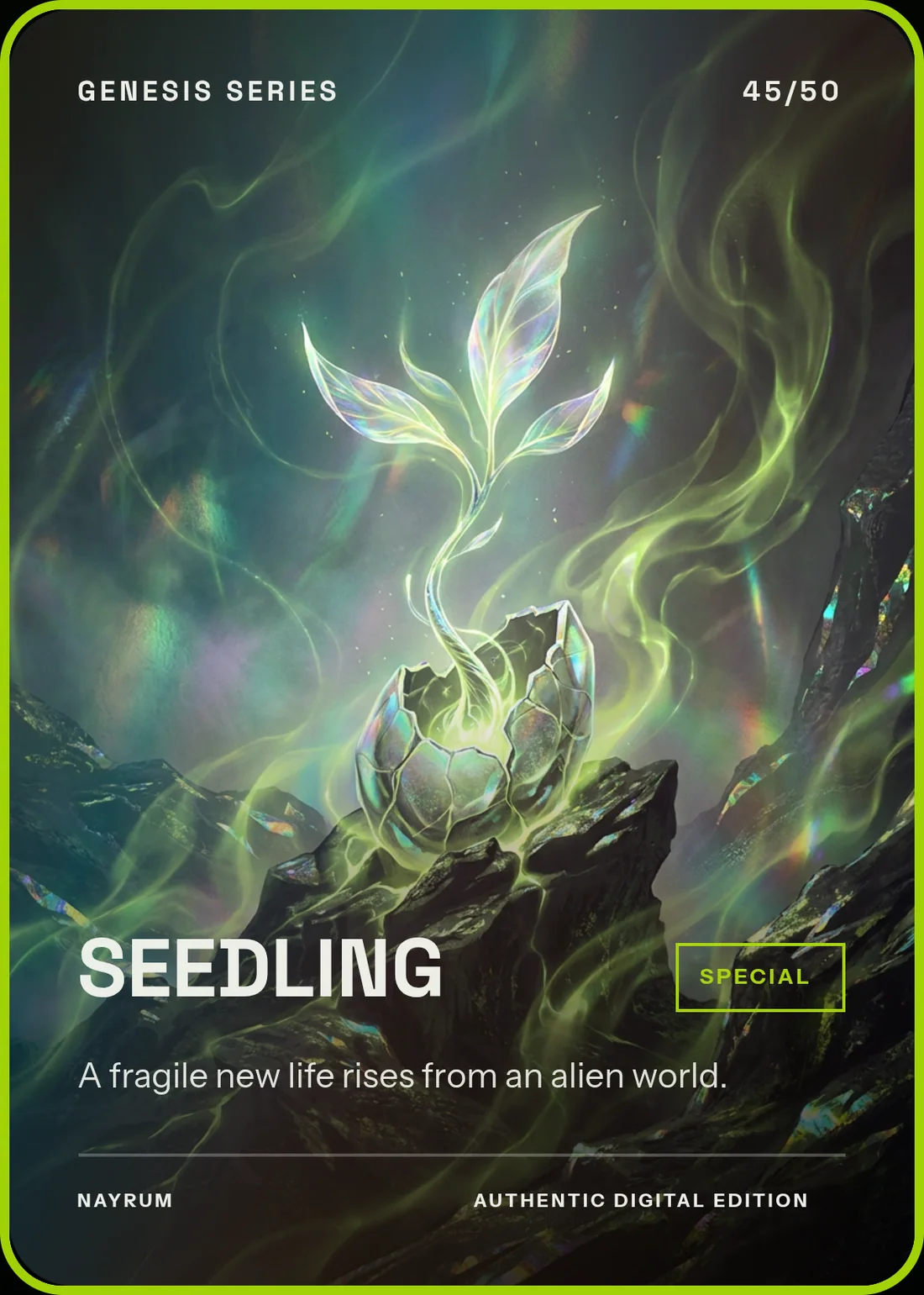 SEEDLING — card 045