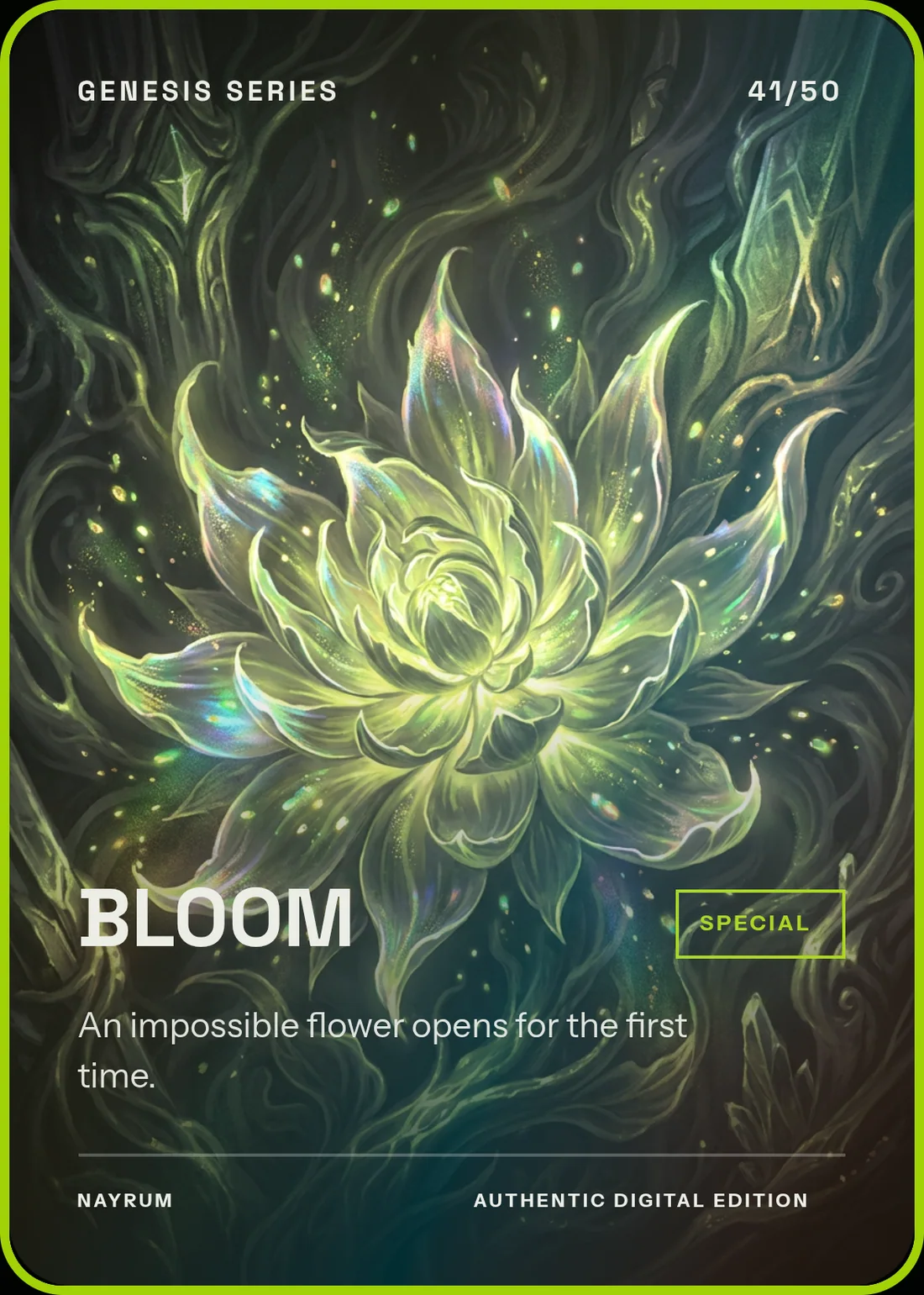 BLOOM — card 041